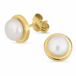 8 mm pärlörhängen i 9 karat guld med  - Gold Collection