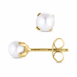 5 mm runda pärlörhängen i 9 karat guld - Gold Collection