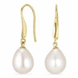 örhängen i 14 karat guld med  - Gold Collection