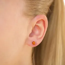 5 mm runda bärnsten örhängen i silver