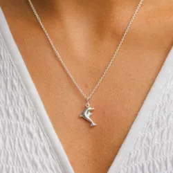 delfin hängen i silver
