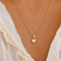 hjärta zirkon hängen i 8 karat guld - Amoré