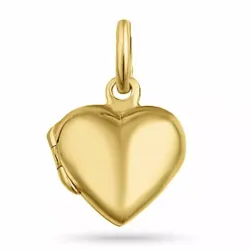 Kollektionsprov hjärta medaljong i förgyllt silver