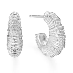 Studio Z Seashell Secrets örhängestift i silver