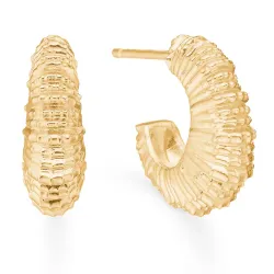 Studio Z Seashell Secrets örhängestift i förgyllt silver