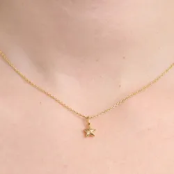 Studio Z Shiny Star halsband i förgyllt silver