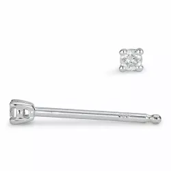 2 x 0,02 ct solitäreörhängestift i 14 karat vitguld med diamant