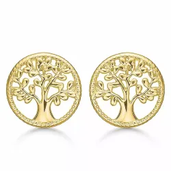 12 mm støvring design livets träd örhängen i förgyllt silver