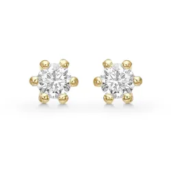 2,5 mm Støvring Design örhängestift i förgyllt silver vit zirkon