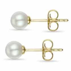5 mm elfenbensvit pärlörhängen i 14 karat guld