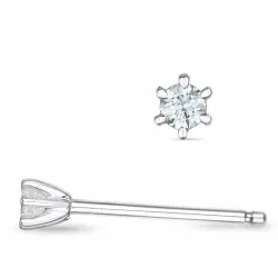 2 x 0,03 ct lab grown diamant solitäreörhängestift i 9 karat vitguld med lab grown diamant 