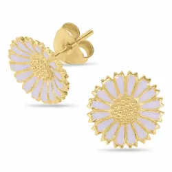 12 mm prästkrage lila örhängen i förgyllt silver - Marie