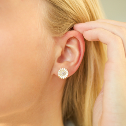 11,5 mm prästkrage örhängen i förgyllt silver - Marie