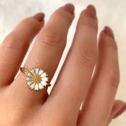 12 mm prästkrage ring i förgyllt silver