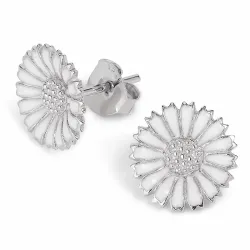 12 mm prästkrage örhängen i rhodinerat silver - Marie