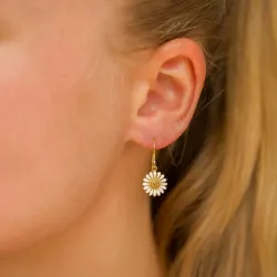 11 mm prästkrage örhängen i förgyllt silver - Matilda