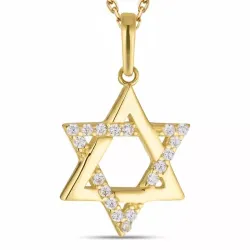 davidsstjärna zirkon halsband i förgyllt silver med hängen i 8 karat guld - Gold Collection