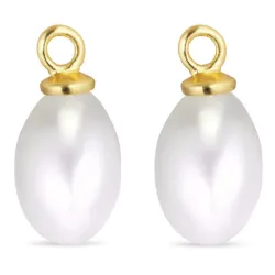 pärla hängen till örhängen i förgyllt silver - Mix & Match