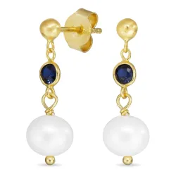 mörkblå kristal örhängen i förgyllt silver