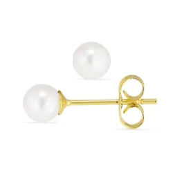 5 mm vattentät vit pärla örhängestift i förgyllt stål - OCEANA