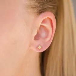 vattentät stjärna örhängen i förgyllt stål - OCEANA