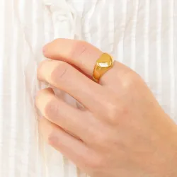 vattentät hjärta ring i förgyllt stål - OCEANA