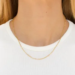 vattentät halsband i förgyllt stål  x 2,0 mm  - OCEANA