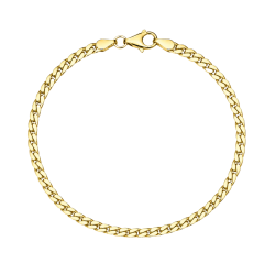 BNH panzerarmband i förgyllt silver 17 cm x 2,7 mm