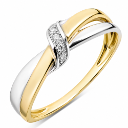 lab grown diamant ring i 9 karat guld- och vitguld 0,03 ct