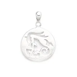 Stenbock stjärntecken hängen i silver