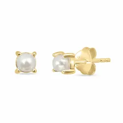 4 mm pärla örhängestift i förgyllt silver