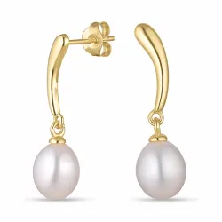 7,5-8 mm pärla örhängen i förgyllt silver