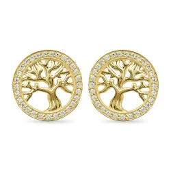livets träd zirkon örhängen i förgyllt silver