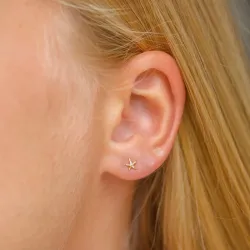 sjöstjärna örhängestift i förgyllt silver - Lumé Etched