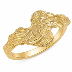 ring i förgylld mässing - Lumé Etched