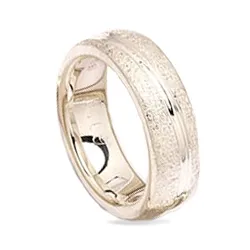 Kollektionsprov ring i silver