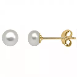 5 mm Støvring Design pärla örhängestift i förgyllt silver