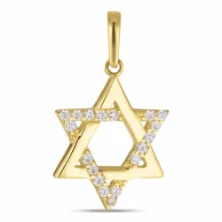 Kollektionsprov davidsstjärna zirkon hängen i 8 karat guld - Gold Collection